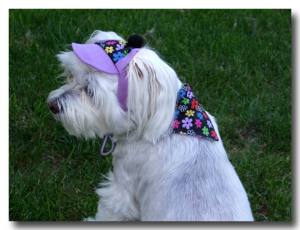 3 in 1 Hundehalstuch / Halsband doppelt  genäht Lila Blumen