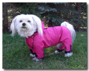 Regenanzug für Hunde *PINK BELLONA *extra für Weibchen mit D-Ring