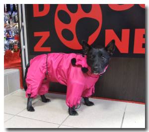 Regenanzug für Hunde *PINK BELLONA *extra für Weibchen mit D-Ring