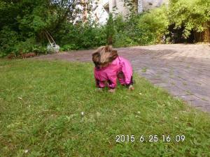 Regenanzug für Hunde *PINK BELLONA *extra für Weibchen mit D-Ring