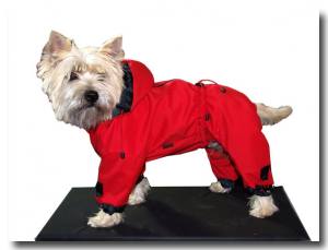 Regenanzug für Hunde RED LUNA extra für Weibchen mit D-Ring