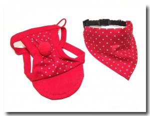 Cappy + Halstuch  SET RED DOTS für Hunde