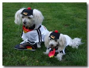 Hunde Cappy DEUTSCHLAND