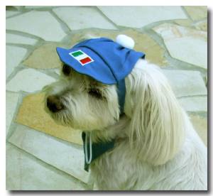 Hunde Cappy ITALIEN