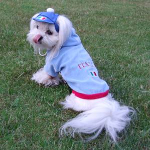 Hunde Sweatshirt ITALIA