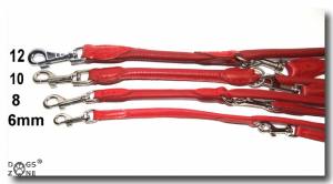 Rundlederleine,Lederleine 2,25 m Lang,10mm BUNT