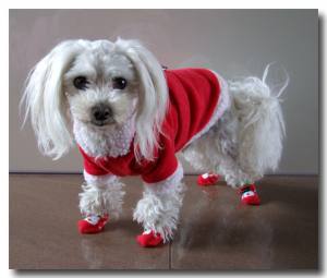 Socken für Hunde SNOWMAN