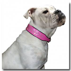Lederhalsband SUPER mit Strass BIG DOG PURPLE