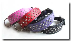 Lederhalsband SUPER mit Strass BIG DOG PURPLE