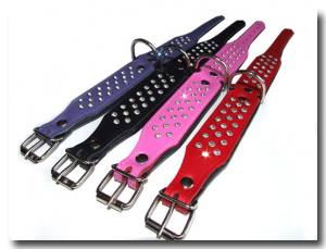 Lederhalsband SUPER mit Strass BIG DOG PURPLE