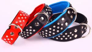 Lederhalsband SUPER mit Strass BIG DOG PURPLE