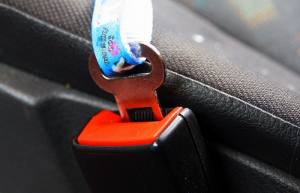 Auto-Gurt für Hunde  Anschnallgurt Gr.1