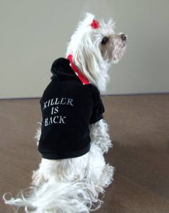 Jogger DogsZone * KILLER IS BACK *Restposten