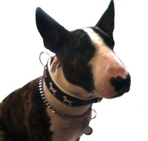Lederhalsband 