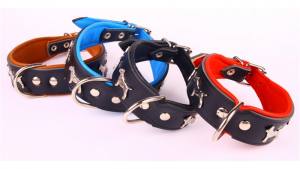 Lederhalsband 