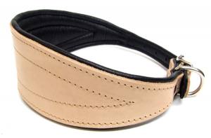 Lederhalsband für Windhunde Halsumfang 44-52 cm Gr.5