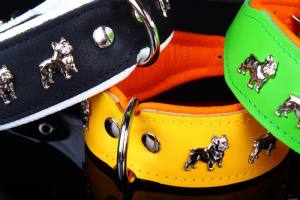 Lederhalsband 