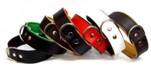 Breites Lederhalsband 