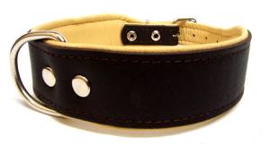 Breites Lederhalsband 