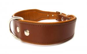 Breites Lederhalsband 