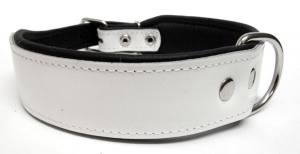 Breites Lederhalsband 