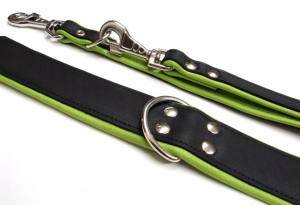 Breites Lederhalsband 