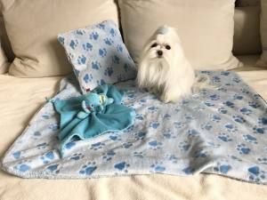 3 in 1 Handtuch, Schlafsack, Decke PAW BLUE