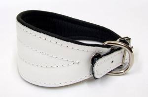 Lederhalsband für Windhunde 