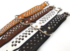 Lederhalsband  BIG DOG mit NIETEN Gr.1