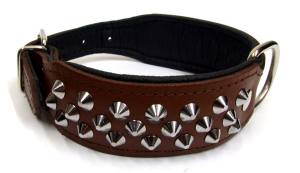 Lederhalsband  BIG DOG mit NIETEN Gr.1