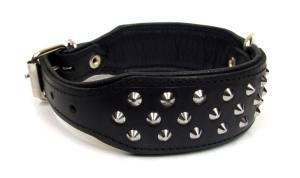 Lederhalsband  BIG DOG mit NIETEN Gr.1