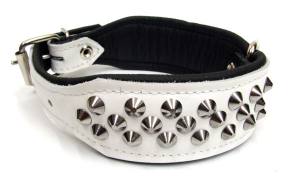 Lederhalsband  BIG DOG mit NIETEN Gr.1