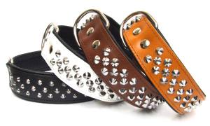 Lederhalsband  BIG DOG mit NIETEN Gr.1