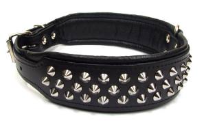 Lederhalsband  BIG DOG mit NIETEN Gr.3