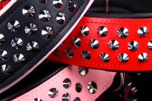 Lederhalsband  BIG DOG mit NIETEN Gr.3