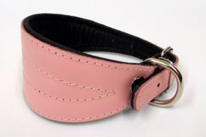 Lederhalsband für Windhunde 