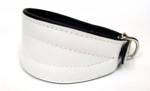 Lederhalsband für Windhunde 