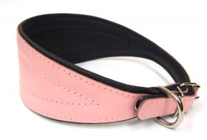 Lederhalsband für Windhunde Halsumfang 