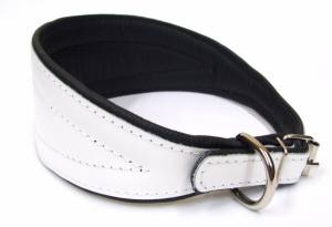 Lederhalsband für Windhunde Halsumfang 