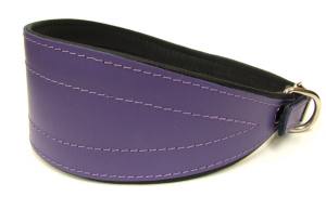Lederhalsband für Windhunde Halsumfang 