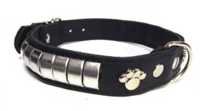 Fettlederhalsband mit Nieten