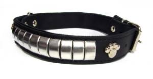 Fettlederhalsband mit Nieten