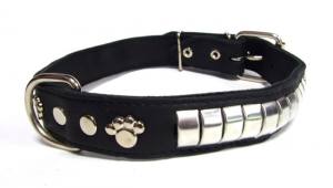 Fettlederhalsband mit Nieten