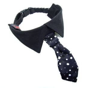 Hundekragen Hundekrawatte auf Halsband  BLACK CLASSIC