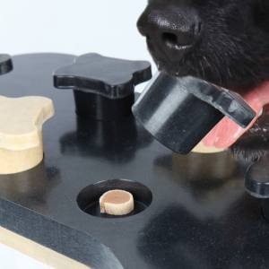 Hunde Dog Activity Strategiespiel Game Bone