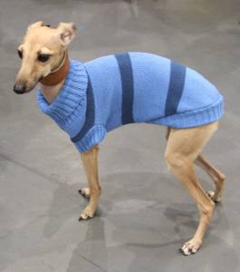 Hunde Pullover WIKI BOY