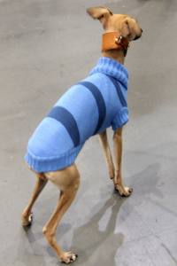 Hunde Pullover WIKI BOY