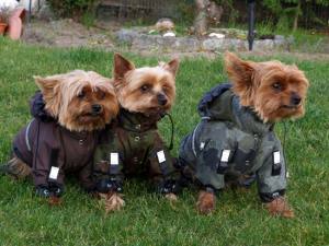 Hunde Winteranzug und Jacke 2 in 1 BRAUN Gr.2 EINZELSTÜCK