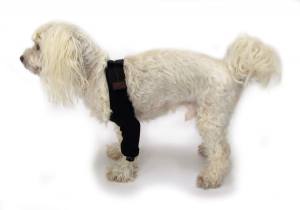 Post-OP Wundschutz für Vorder-Beine Hund/Katze