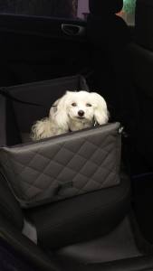 Hundeautositz Autokörbchen DE LUXE BLACK Elegance Gr.3